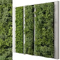 Vertical Living Wall Design With Lush Green Plants And White Panels