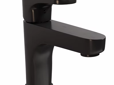Sleek Modern Black Faucet Design For Bathroom And Kitchen Sinks 3d model
