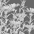 Various Purple White Flowering Plants With Green Stems And Leaves