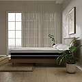 Double Bed with Wooden Headboard in Bright Room Natural Light Potted Plant and Wall Art