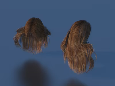 Two Brown Long Hair Wigs With Natural Style On Blue Background 3d model