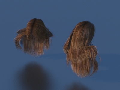 Hair Wig Hair Set model