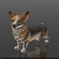 Corgi With Large Ears Short Legs Gray White Brown Coat Standing On Black Reflective Surface