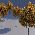 Trees With Vibrant Yellow Leaves Against Blue Sky On Snowy Ground