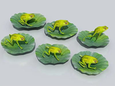 Frog Lotus Leaf Lotus Leaf 3d model Frog Lotus Leaf Lotus Leaf 3d model