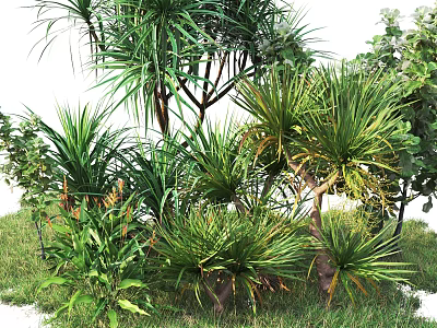 Lush Green Shrubs In Garden Landscape With Diverse Plant Species And Fresh Foliage 3d model
