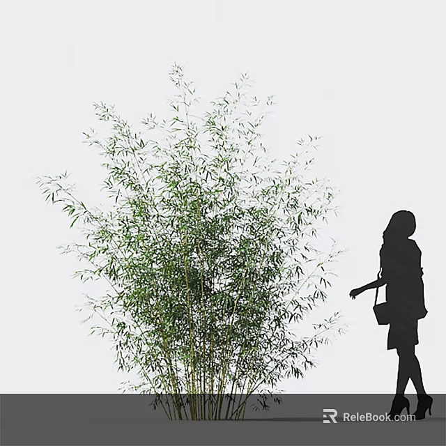 Lush Green Bamboo Plant With Woman Silhouette In Minimalist Scene 3d model 