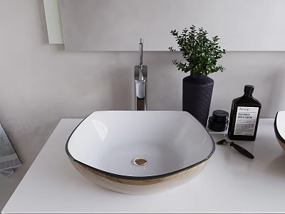 White Square Wash Basin With Black Rim Modern Faucet And Green Plant On White Countertop 3d model