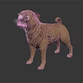 Light Brown Pug Dog 3D Model With Wrinkled Skin Standing On Dark Background