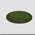 Lush Natural Terrain Covered With Green Grass Small Plants And Thick Vegetation