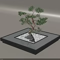 Decorative Bonsai Tree Display On Square Black Base With White Pebbles And Stone 3d model