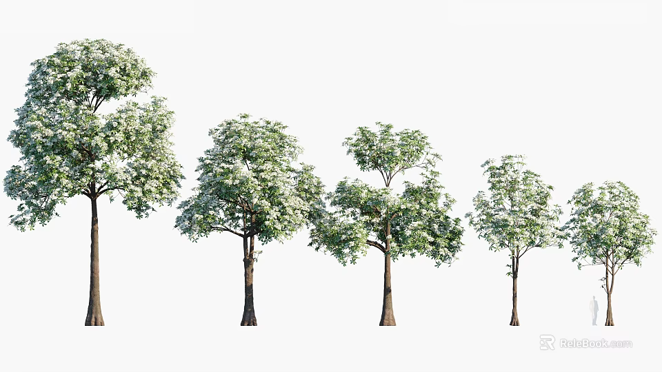 Various Green Leafy Arbor Trees with Lush Foliage and Straight Trunks 3d model 