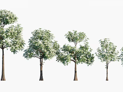 Various Green Leafy Arbor Trees with Lush Foliage and Straight Trunks 3d model