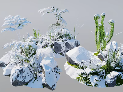 Snow Covered Natural Garden Scene With Green Ferns And Icy Rocks 3d model