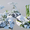 Snow Covered Natural Garden Scene With Green Ferns And Icy Rocks