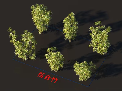 Lush Green Lily Bamboo Plants Showcasing Various Growth Forms And Natural Shapes 3d model