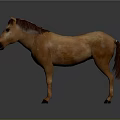 Brown Horse Standing Full Body Side View With Brown Mane On Gray Background
