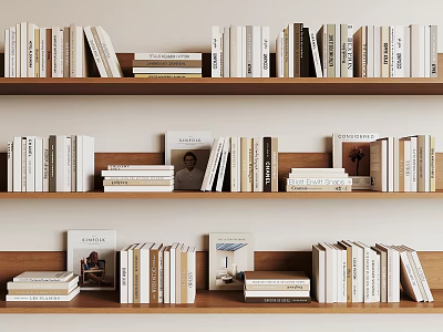 Neatly Arranged Books And Magazines On Wooden Bookshelves In Interior 3d model