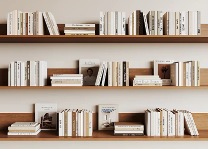 Modern Books 3d model
