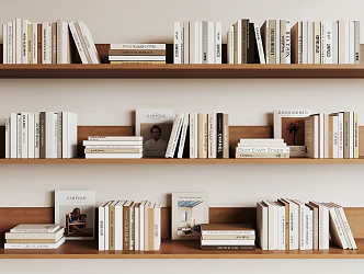 Modern Books 3d model
