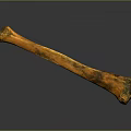 Detailed Skeletal Bone Organ Structure With Orange Black Fossil Texture