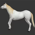White Horse Standing Gracefully On Black Background With Clear Reflection 3d model