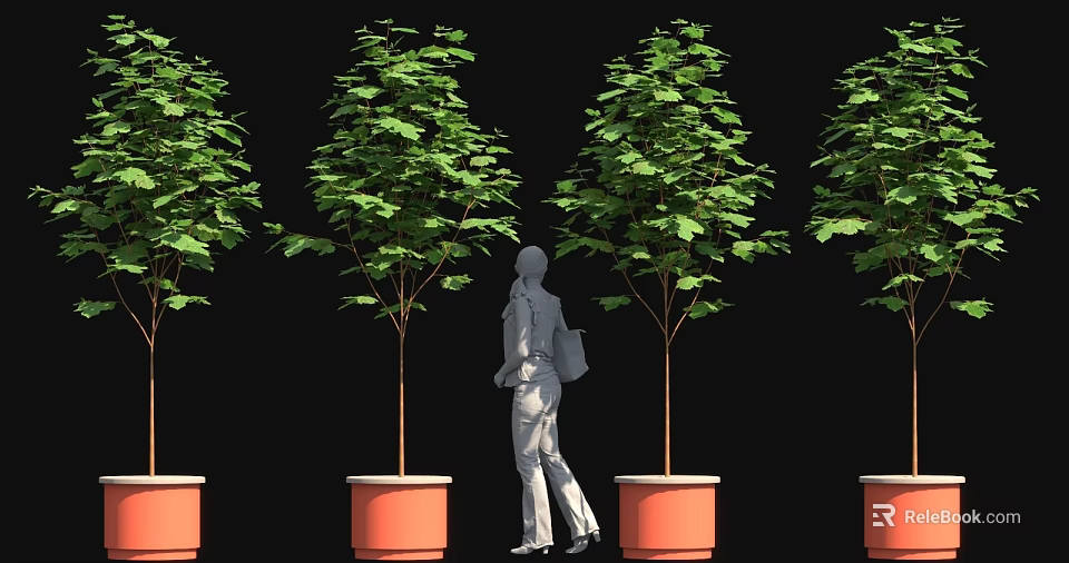 Female Silhouette Walking Among Potted Trees With Orange Planters On Black Background 3d model 