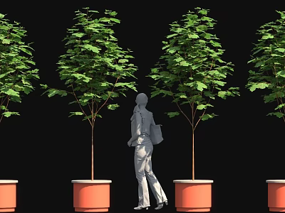 Female Silhouette Walking Among Potted Trees With Orange Planters On Black Background 3d model