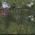Lush Garden Shrubs With Pink Flowers Green Grass And Serene Pond Surroundings