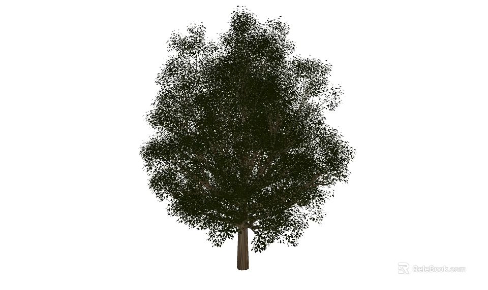 Tall Arbor Tree With Lush Green Foliage And Strong Trunk Structure 3d model 