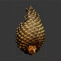 Close Up View Of Natural Detailed Pine Cone With Textured Brown Surface