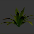 3D Rendered Plant with Broad Green Leaves and Yellow Tips on Gray Background