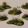 Mixed Plant Combinations With Colorful Flowers Greenery And Diverse Garden Layouts