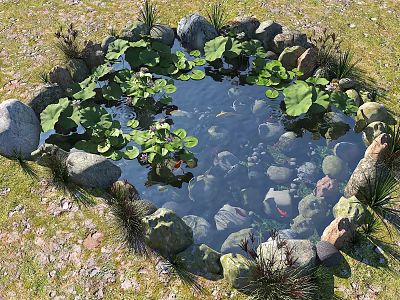 Natural Circular Water Fountain With Stone Border Lily Pads And Fish In Garden 3d model