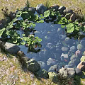 Natural Circular Water Fountain With Stone Border Lily Pads And Fish In Garden