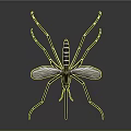 3D Rendered Mosquito With Golden Head Long Legs Transparent Wings And Striped Body