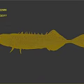 Brown Fish with Spikes and Fins on Black Background with Reflection