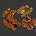 Modern Walnut Cotton Walnut Hemp Walnut Iron Walnut Melon Seeds Keppel Walnut 3d model