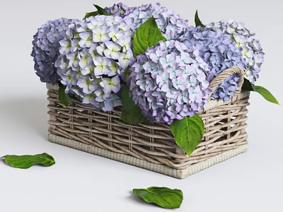 Elegant Purple Hydrangeas Displayed In Handwoven Wicker Basket With Green Leaves Scattered Around 3d model