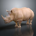 Light Brown Rhino Standing on Dark Reflective Surface with Smooth Skin 3d model