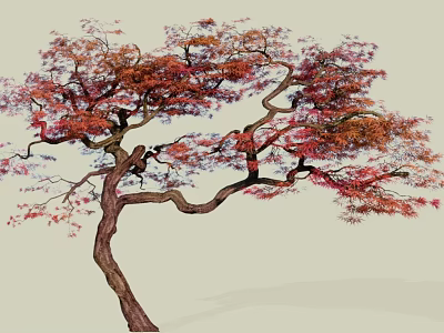 Graceful Arbor With Curved Branches And Red Purple Leaves On Light Background 3d model
