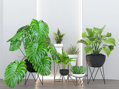Various Indoor Potted Plants Including Monstera On Metal Stands In Modern Room 3d model