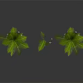 Green Leafy Decorative Potted Plants With Floral Accents And Stylish Planters
