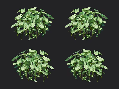 Four Groups Of Lush Green Indoor Plants With Hanging Vines And Healthy Foliage 3d model