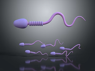 Microscopic Medical Device for Sperm Observation in Reproductive Health Clinical Analysis 3d model