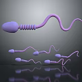 Microscopic Medical Device for Sperm Observation in Reproductive Health Clinical Analysis