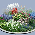 Vibrant Circular Flower Bed With Colorful Flowers Green Foliage And Mixed Plants