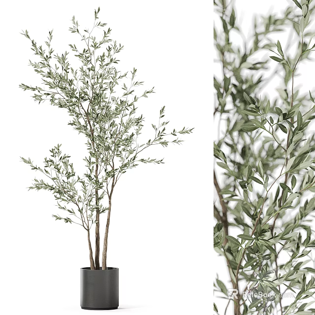 Fresh Green Plant Branches In Ceramic Vase For Modern Home Interior Decor 3d model 