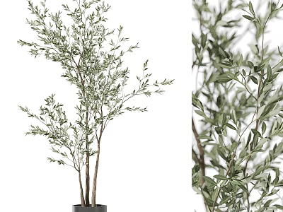 Fresh Green Plant Branches In Ceramic Vase For Modern Home Interior Decor 3d model