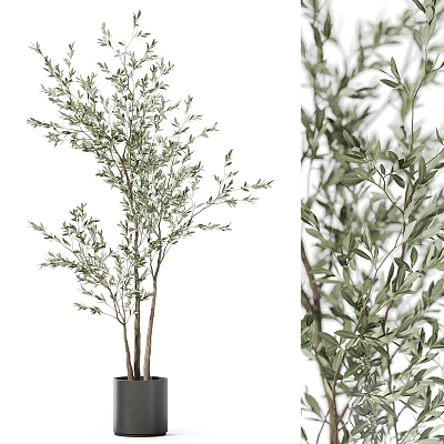 Fresh Green Plant Branches In Ceramic Vase For Modern Home Interior Decor 3d model